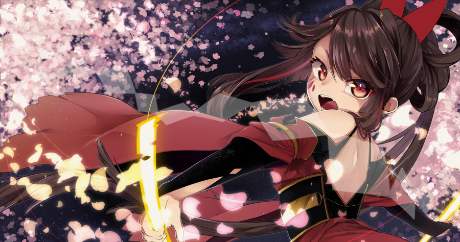 大和撫子wilddances.adapatorvsdrive.png